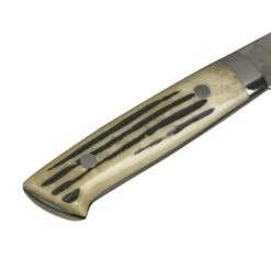 Takeshi Saji Takeshi Saji R2 Damascus Diamond-finish Petty150 With Deer Horn Handle (Ethically Sourced) -KNIVES FROM JAPAN Sales takeshi saji r2 damascus diamond finish petty150 with deer horn handle ethically sourced p1842 10109 image